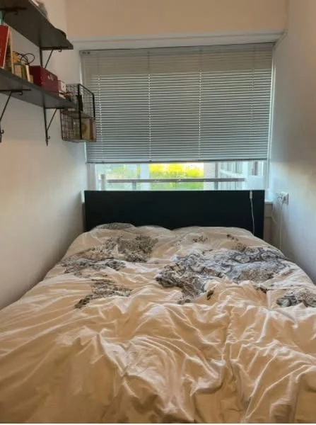Rental property 2