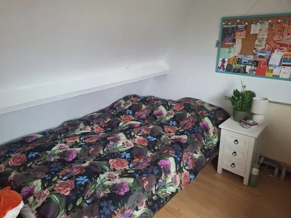 Rental property 2