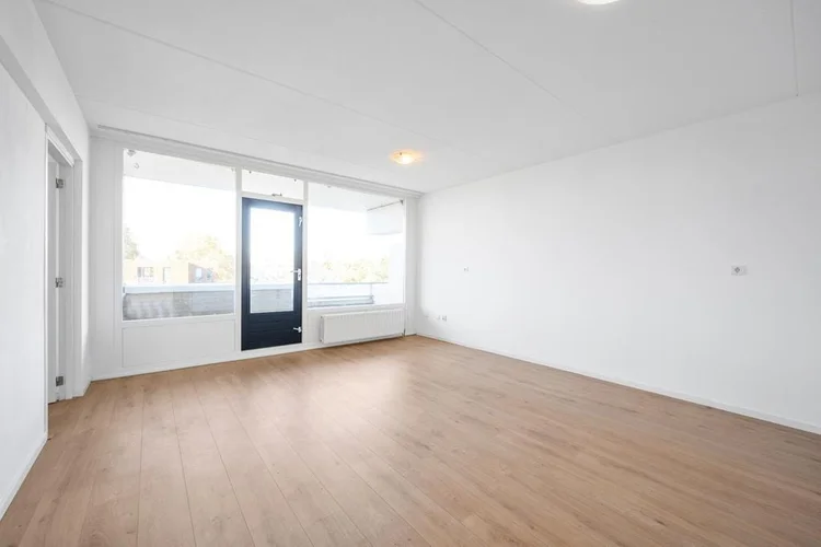 Rental property 2