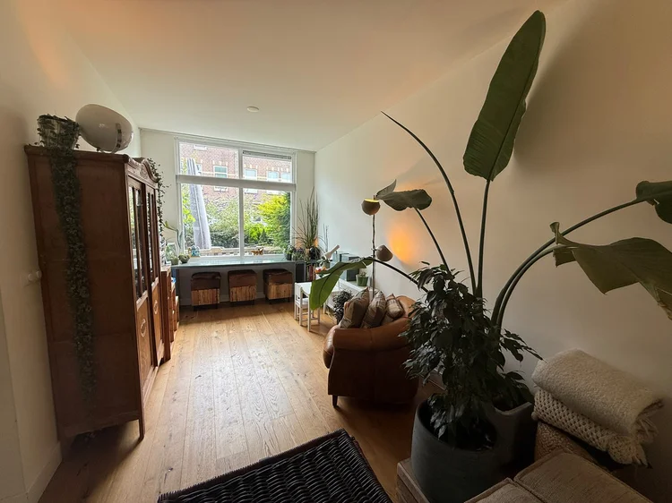 Rental property 2