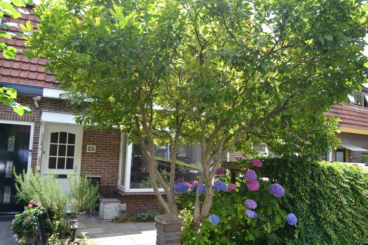 Rental property 2