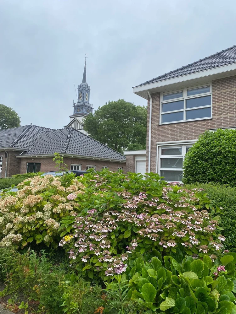 Rental property 2