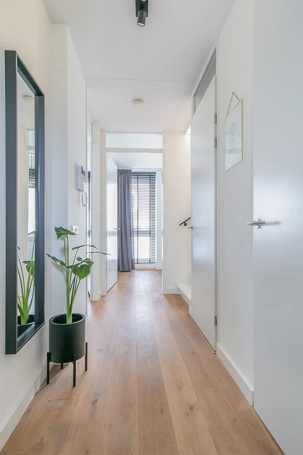 Rental property 2