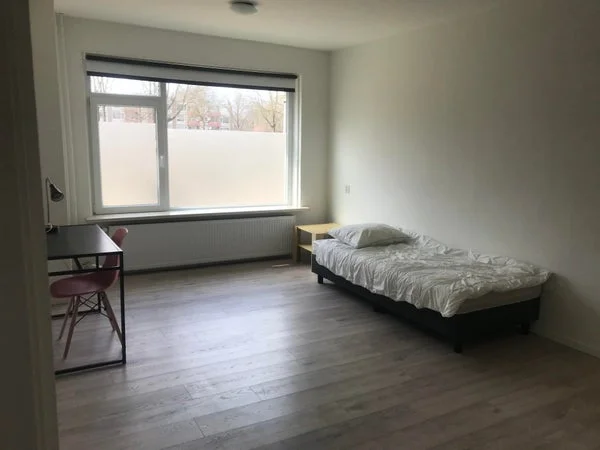 Rental property 2