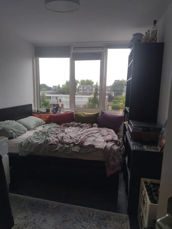 Rental property 2