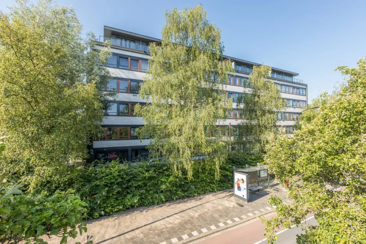 Rental property 2