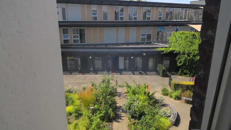 Rental property 2