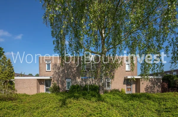 Rental property 2