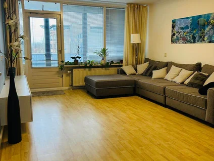 Rental property 2
