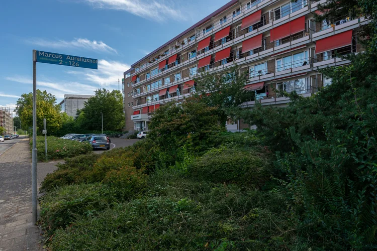 Rental property 2