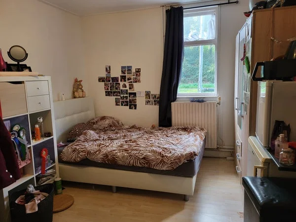 Rental property 2