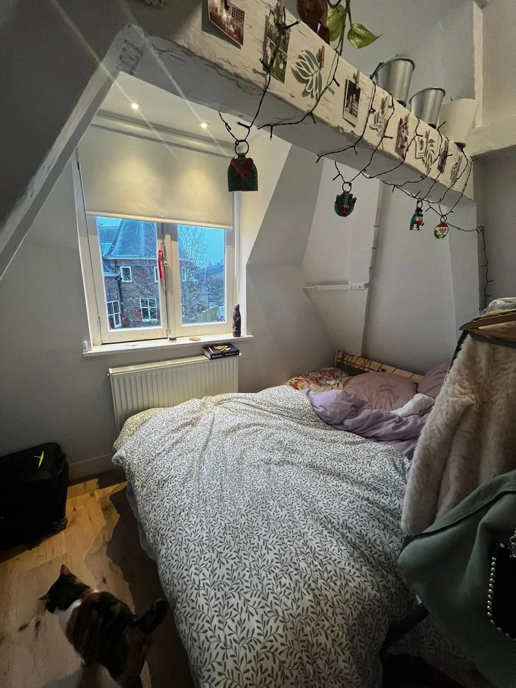 Rental property 2
