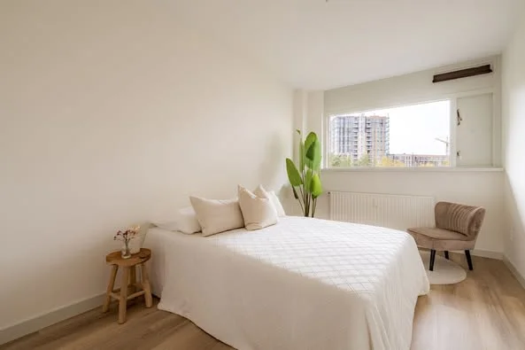 Rental property 2