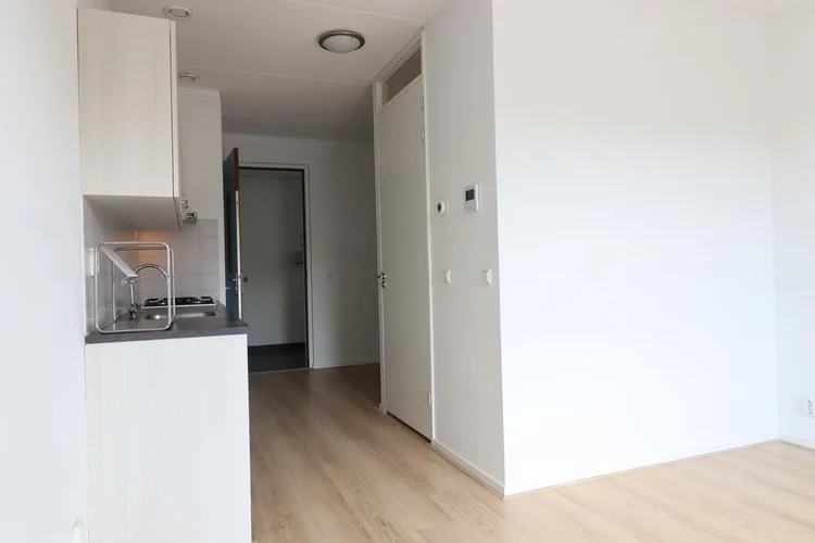 Rental property 2
