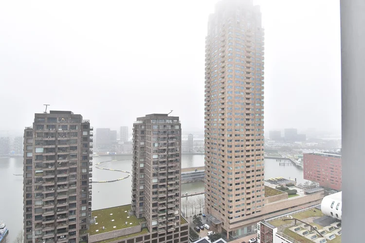 Rental property 2