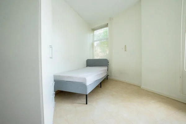 Rental property 2