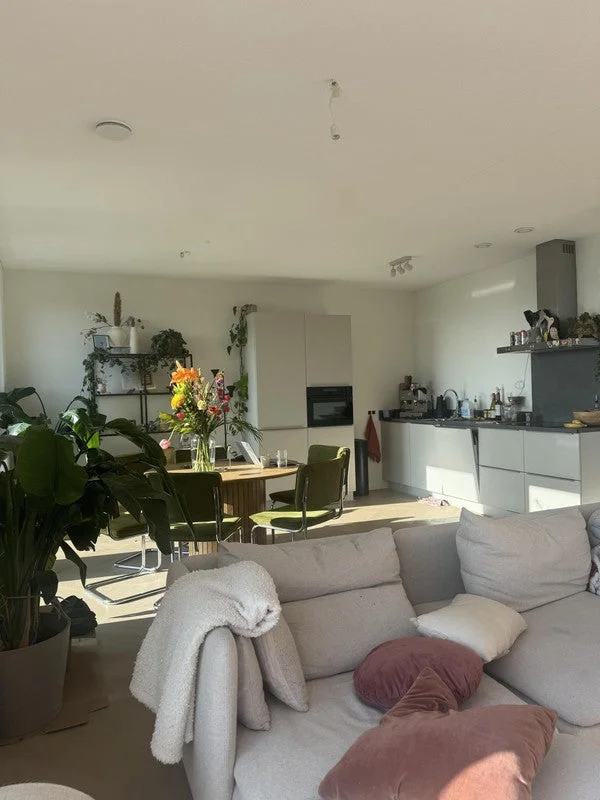 Rental property 2