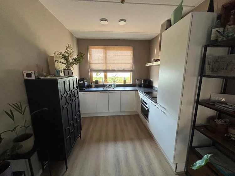 Rental property 2