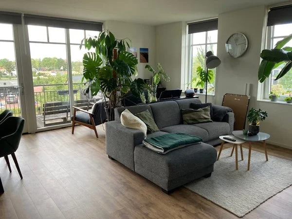 Rental property 2