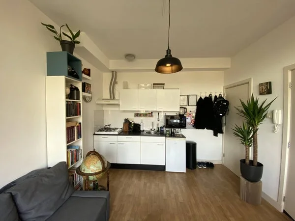 Rental property 2