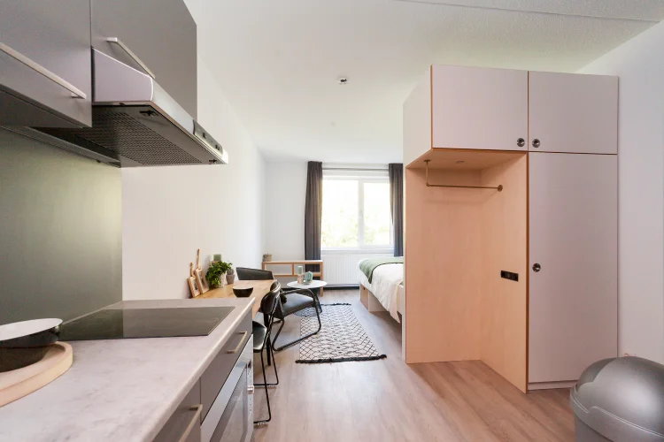 Rental property 3