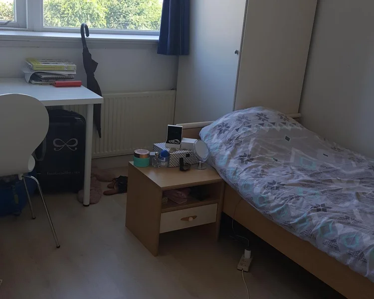Rental property 3
