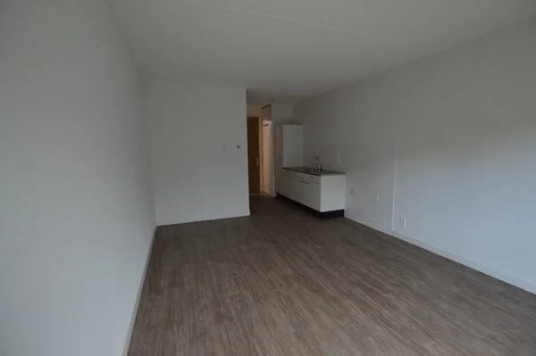 Rental property 3