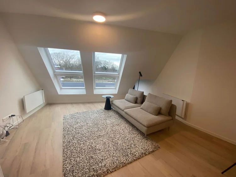 Rental property 3