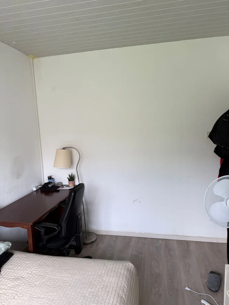 Rental property 3