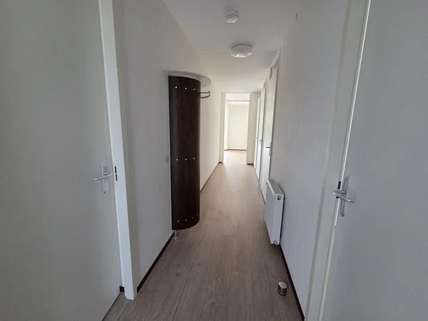 Rental property 3
