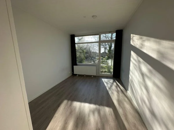 Rental property 3