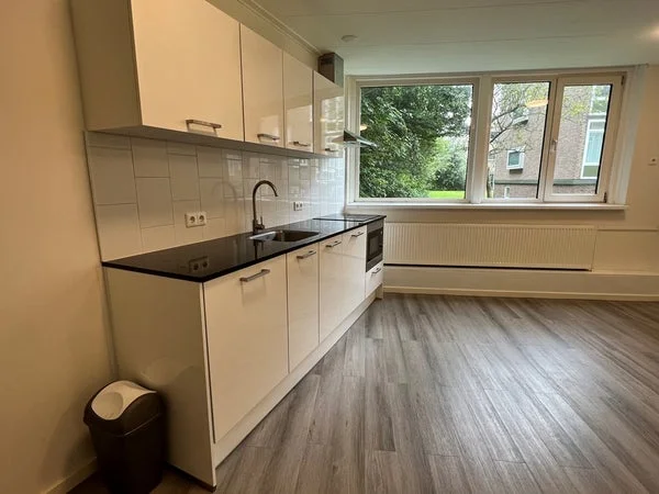 Rental property 3