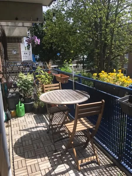 Rental property 3