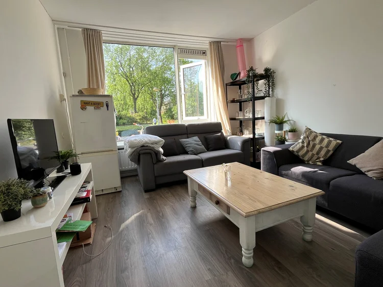 Rental property 3