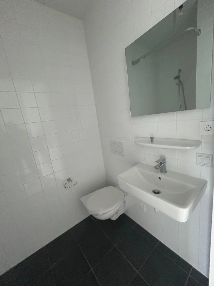 Rental property 3
