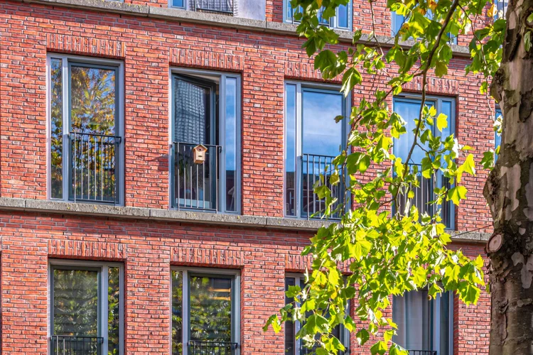 Rental property 3