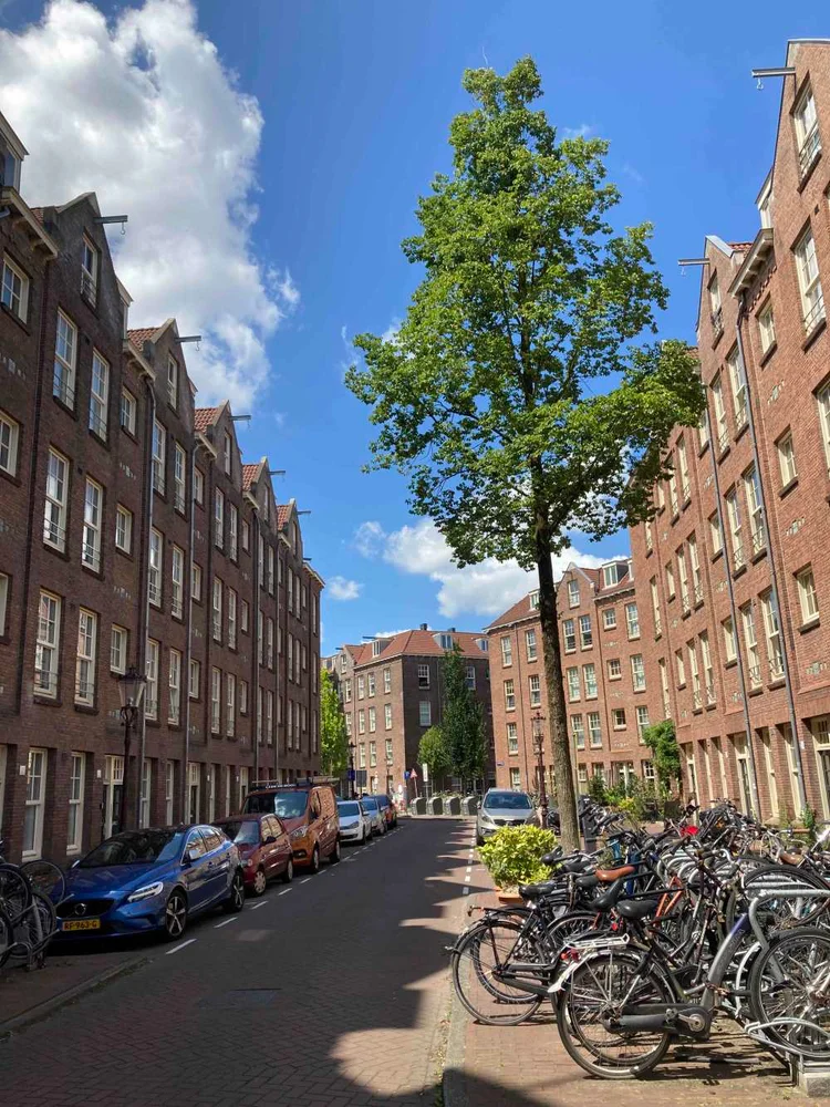 Rental property 3