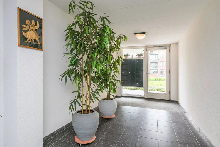 Rental property 3