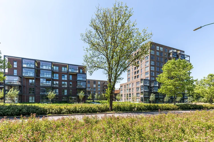 Rental property 3