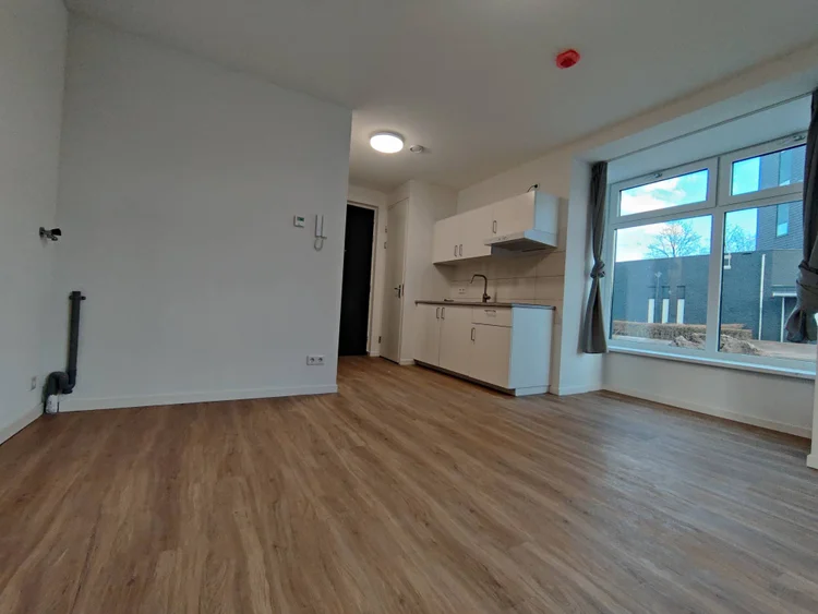 Rental property 3