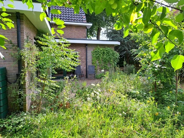 Rental property 3