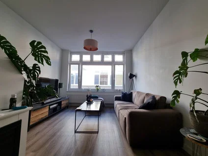 Rental property 3