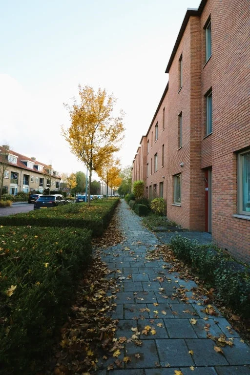 Rental property 3