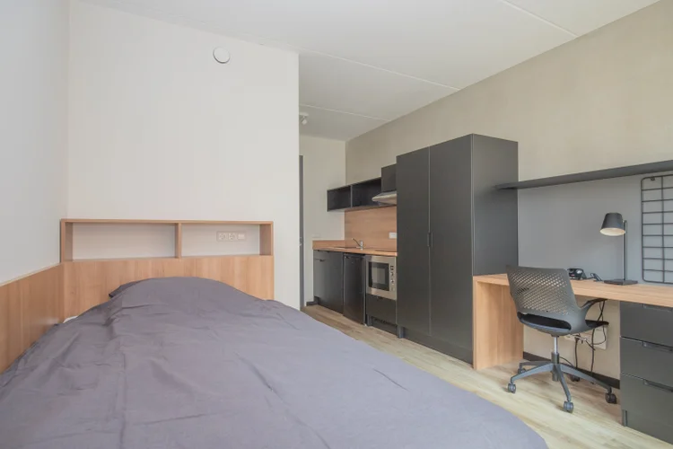 Rental property 3