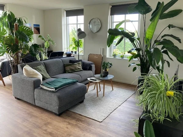 Rental property 3