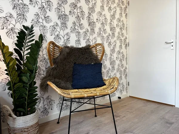 Rental property 4