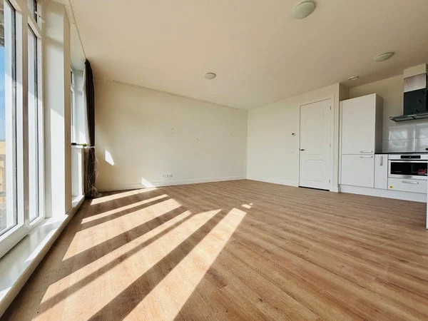 Rental property 4