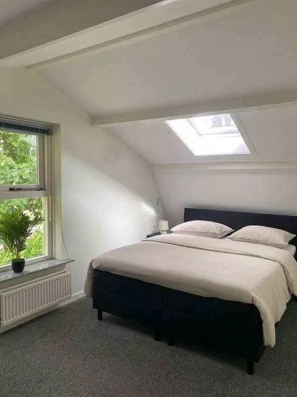 Rental property 4