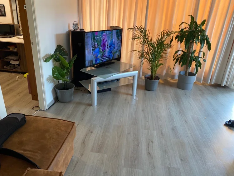 Rental property 4