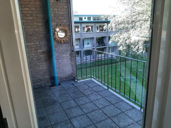 Rental property 4